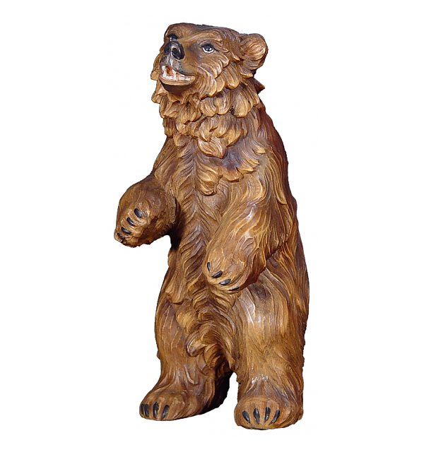 1375 - Bear standing in pine