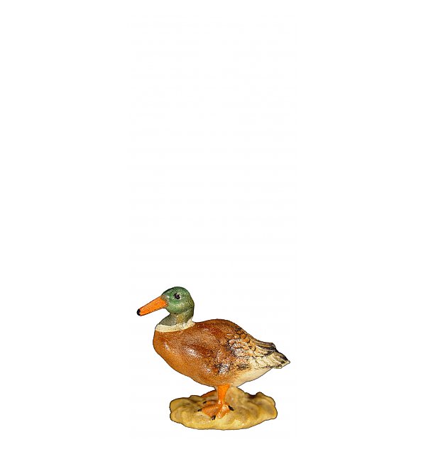 8078 - Ente