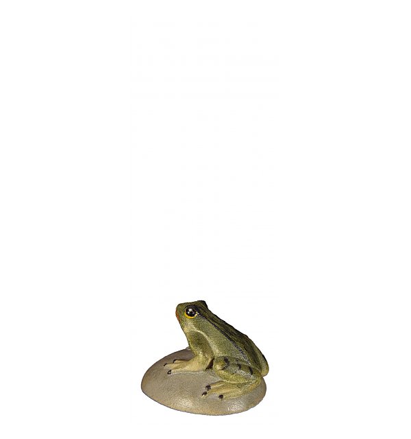 8104 - Frog on stone