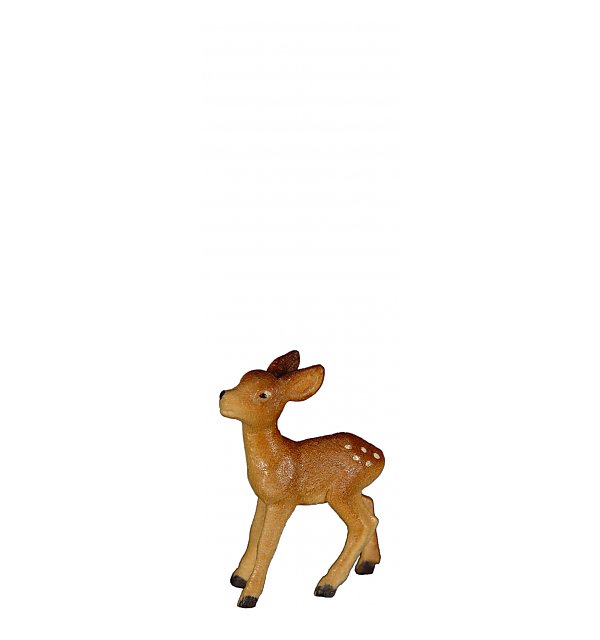 8118 - Fawn standing