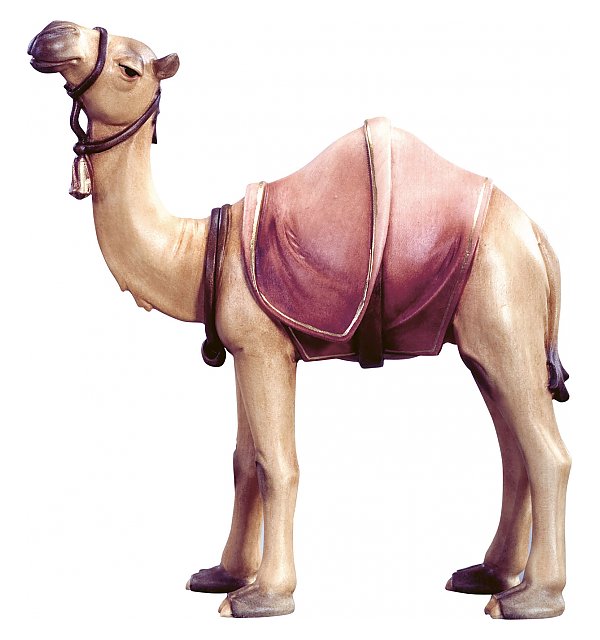 DE4595 - Camel