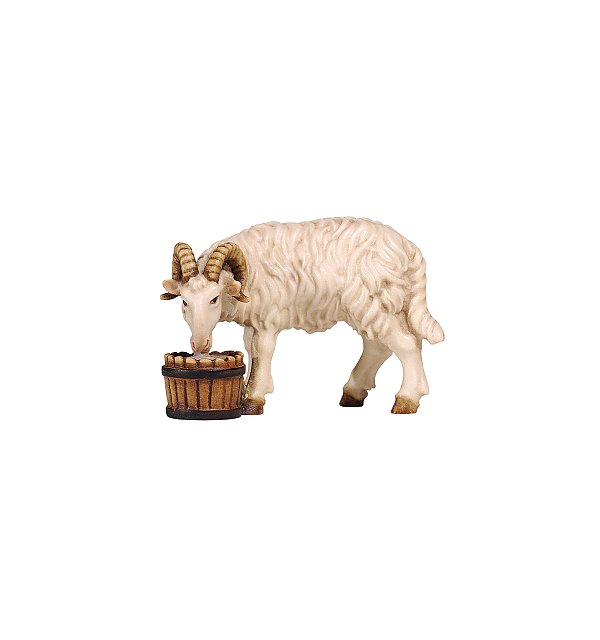 PE801118 - KO Ram with bucket