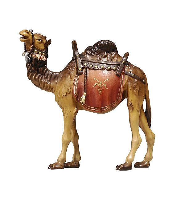 PE801170 - KO Camel