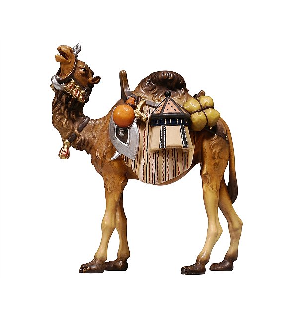 PE801171 - KO Camel