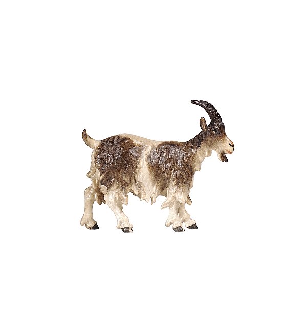 PE801192 - KO Goat