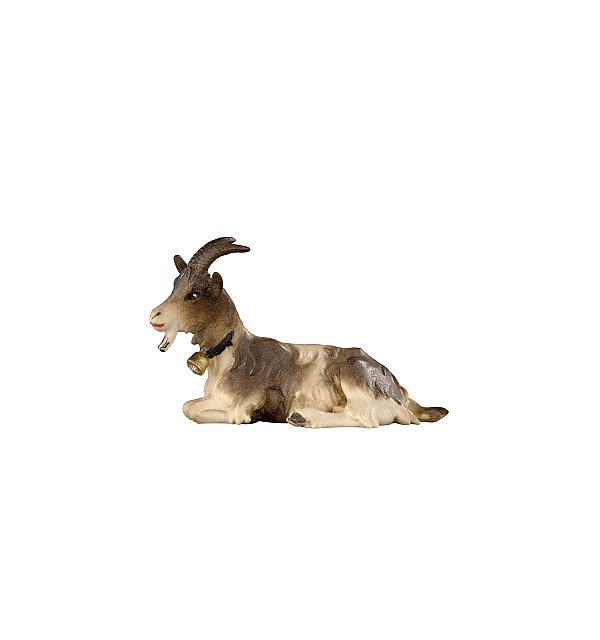 PE801196 - KO Goat