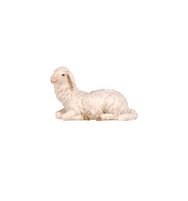 PE801252 - KO Sheep