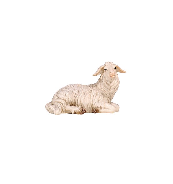 PE801253 - KO Sheep