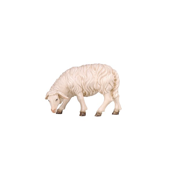 PE801256 - KO Sheep