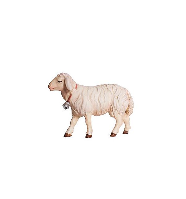 PE801258 - KO Sheep