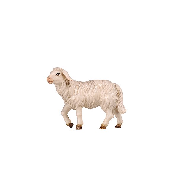 PE801259 - KO Sheep