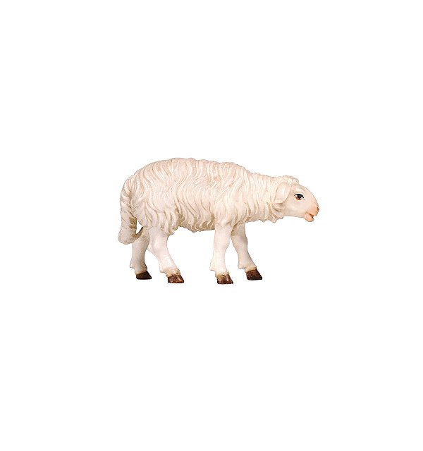 PE801260 - KO Sheep