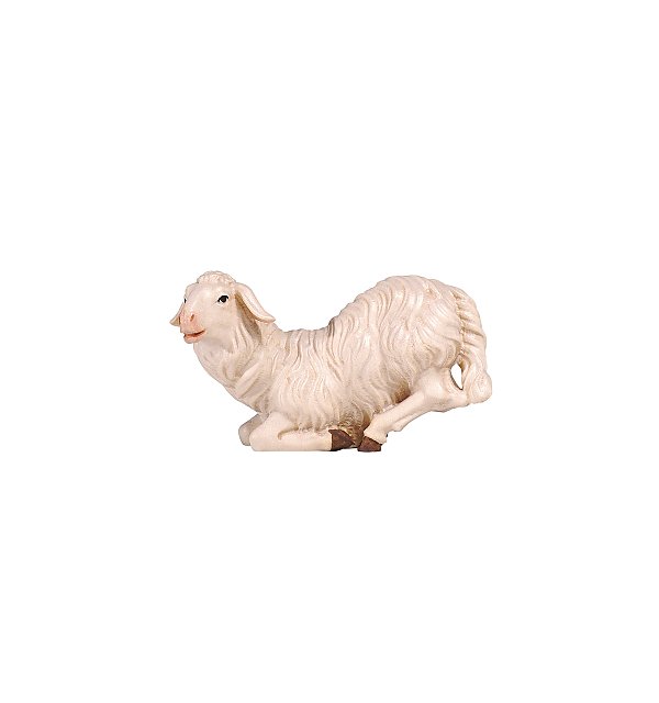 PE801267 - KO Sheep