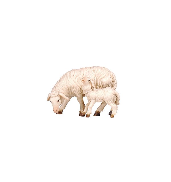 PE801274 - KO Sheep