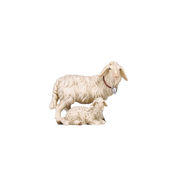 PE801276 - KO Sheep